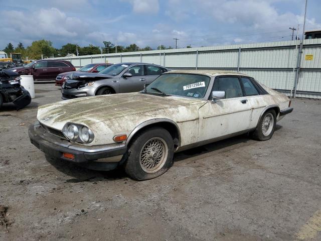 1989 Jaguar Xjs 