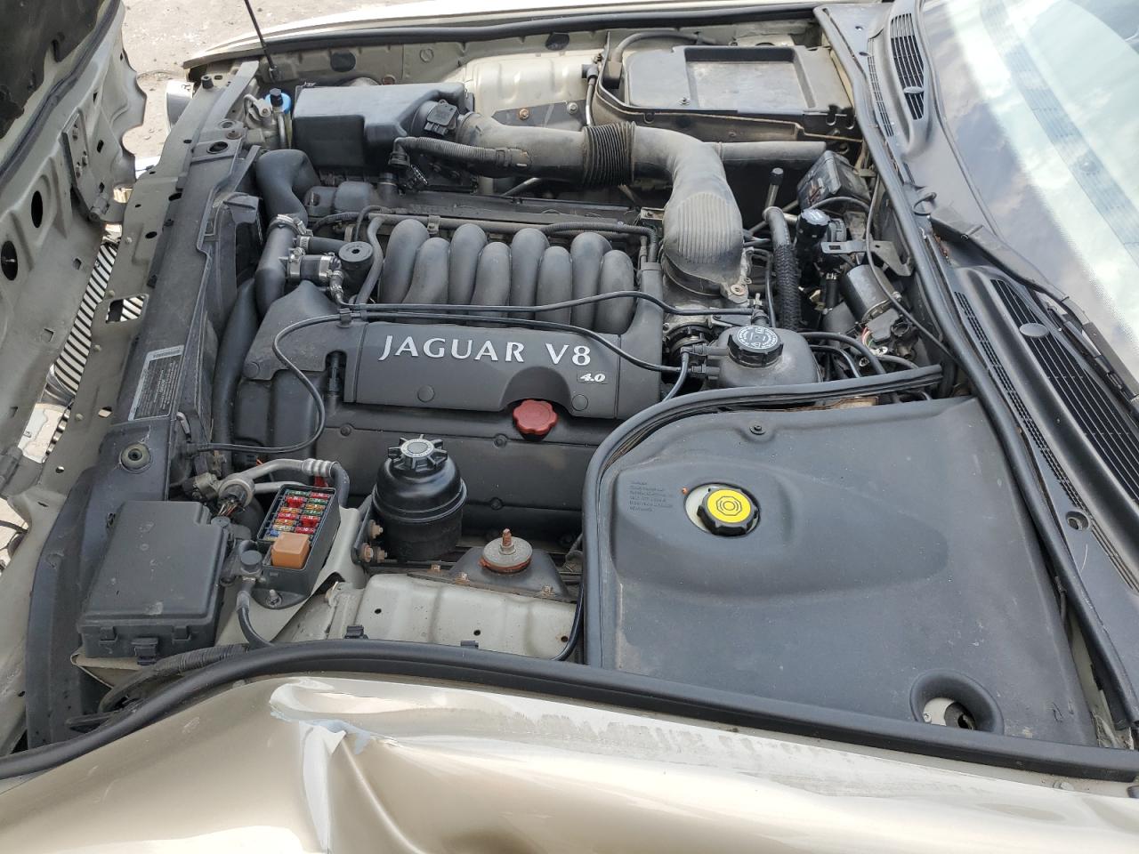 1999 Jaguar Vandenplas VIN: SAJKX6048XC849376 Lot: 70538064
