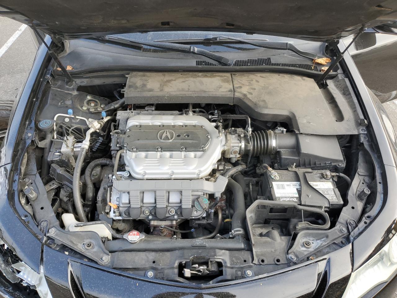 19UUA8F59BA000254 2011 Acura Tl