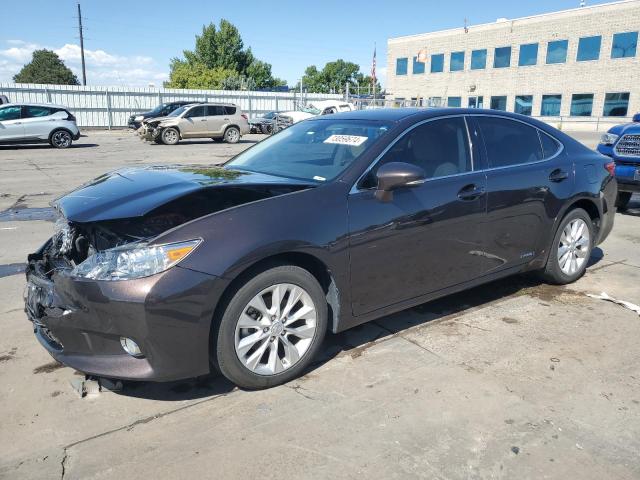 2014 Lexus Es 300H