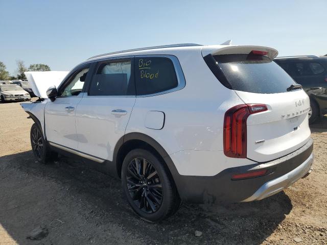  KIA TELLURIDE 2022 Biały