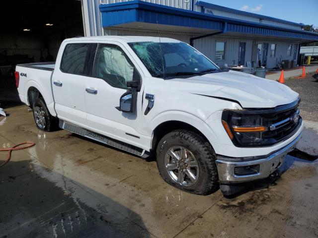  FORD All Models 2024 White