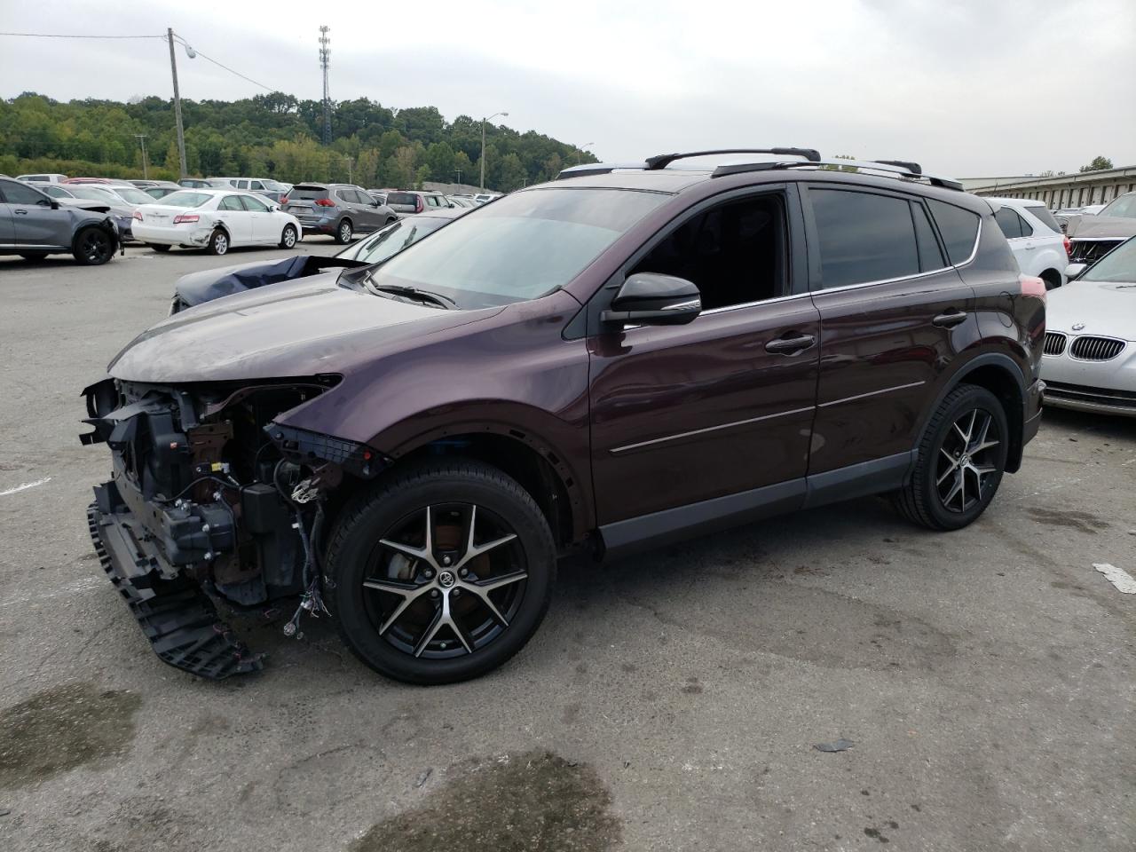 2T3JFREV3GW459220 2016 TOYOTA RAV 4 - Image 1