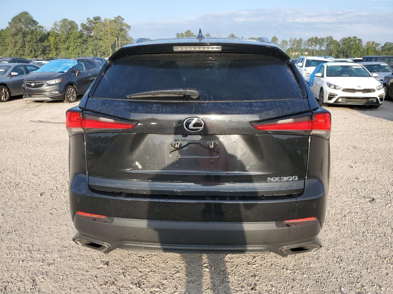 2019 Lexus Nx 300 Base VIN: JTJBARBZ5K2216050 Lot: 71588434