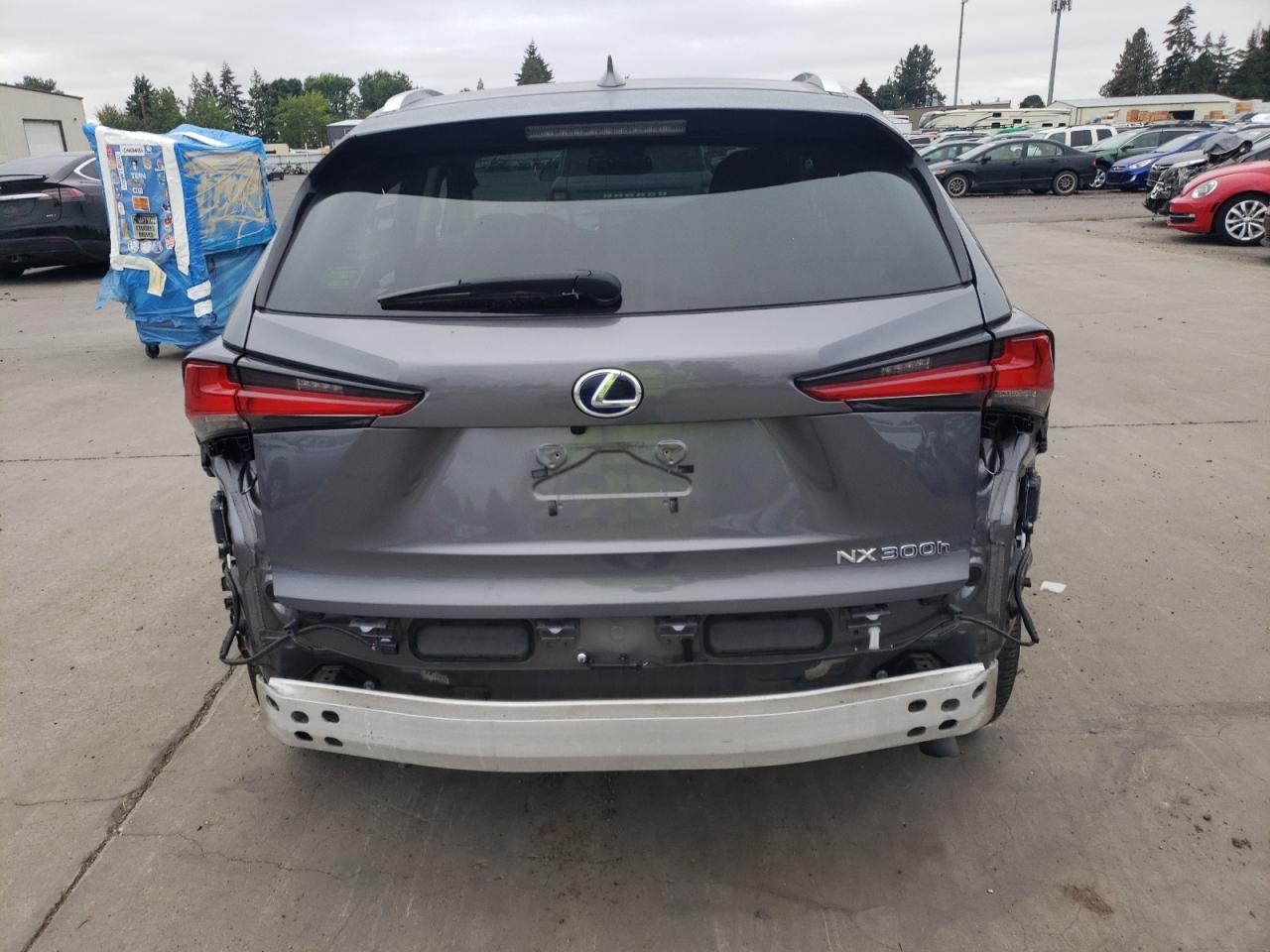 2020 Lexus Nx 300H VIN: JTJGJRDZ6L2141587 Lot: 68724444