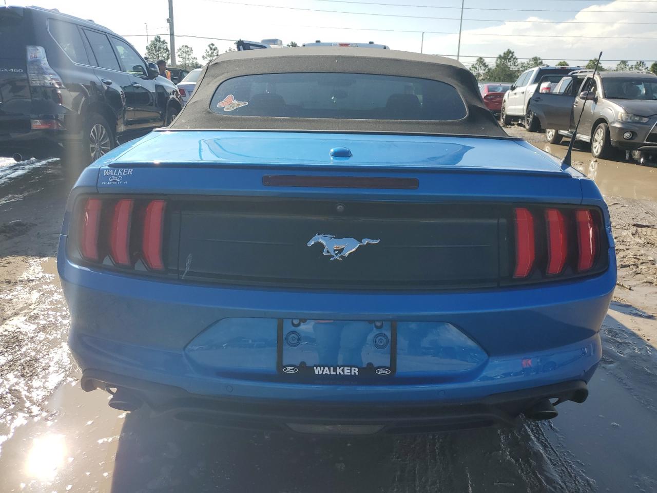 1FATP8UH4K5149675 2019 Ford Mustang