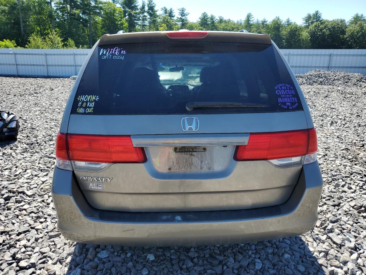 2010 Honda Odyssey Exl VIN: 5FNRL3H64AB061198 Lot: 69813394