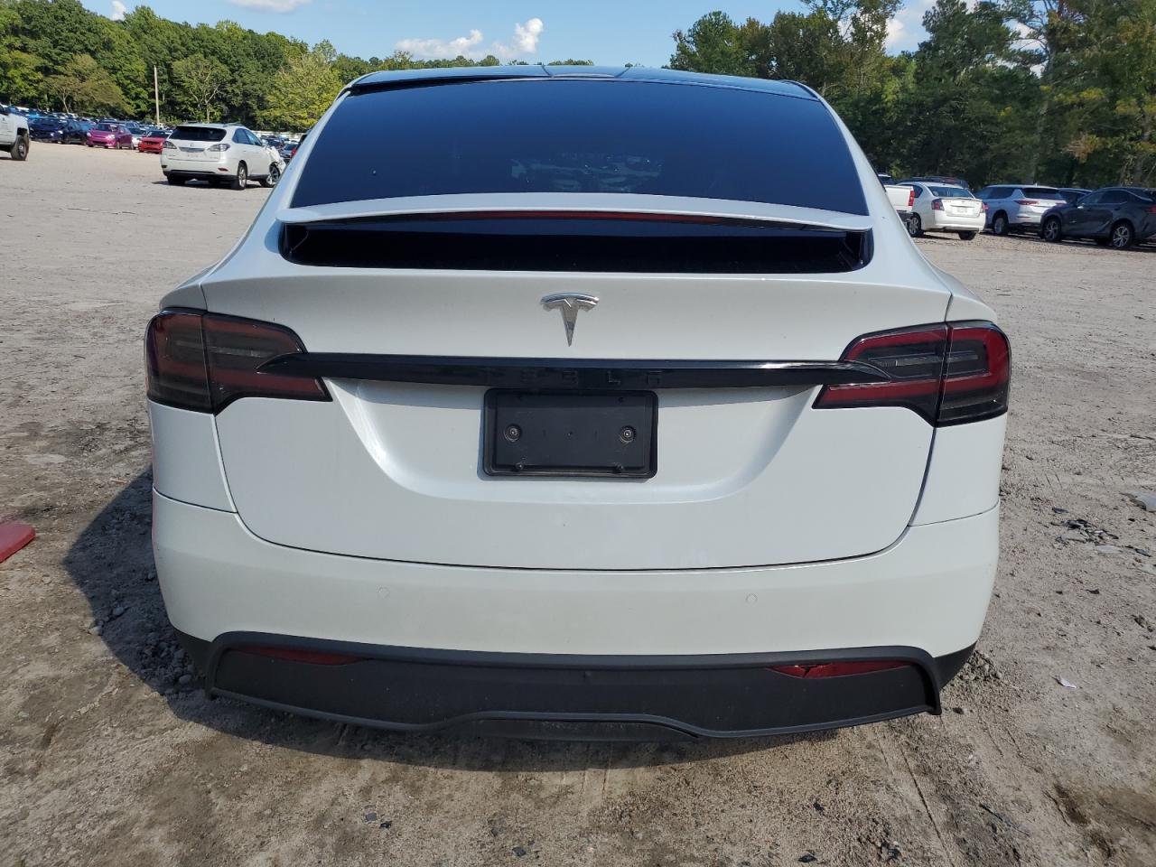 2023 Tesla Model X VIN: 7SAXCAE57PF365046 Lot: 72233554