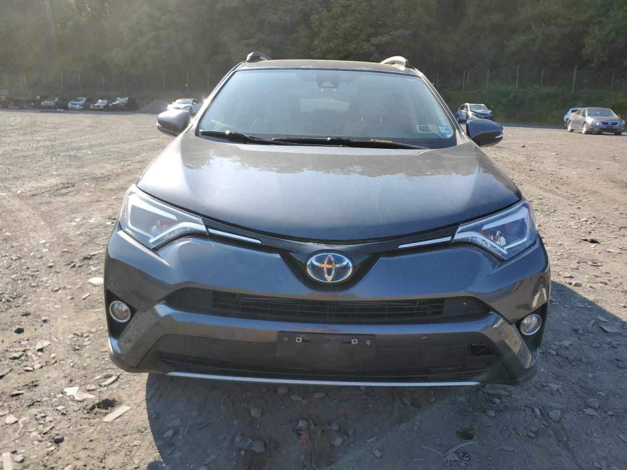 2017 Toyota Rav4 Hv Limited VIN: JTMDJREV2HD077397 Lot: 69766564