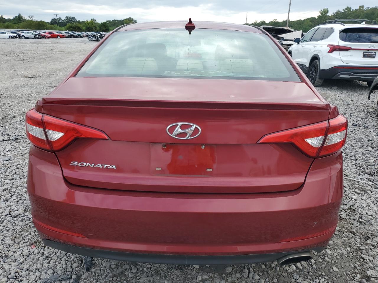 2015 Hyundai Sonata Se VIN: 5NPE24AF6FH019349 Lot: 71917444