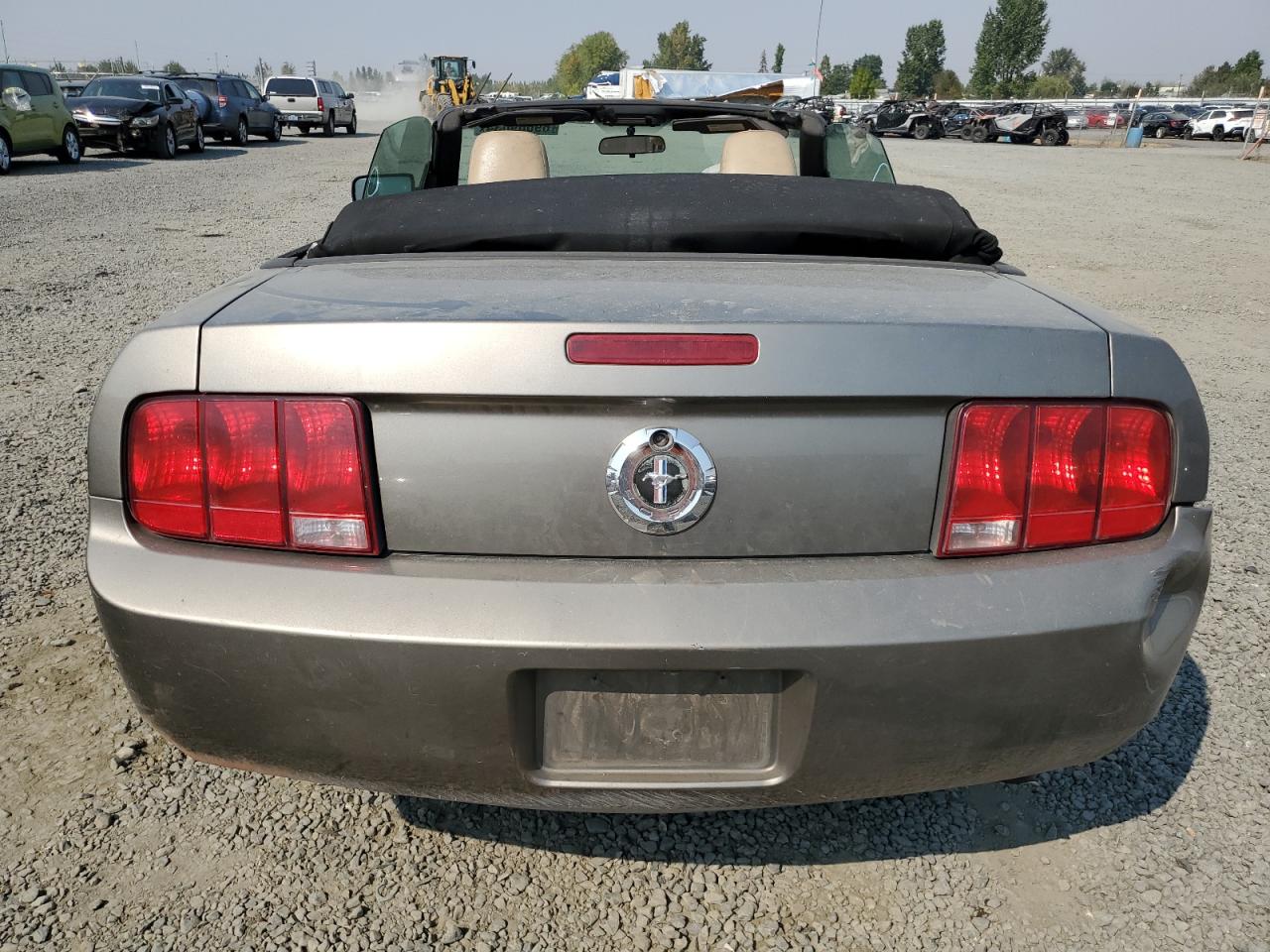 2005 Ford Mustang VIN: 1ZVFT84N955219908 Lot: 80118564