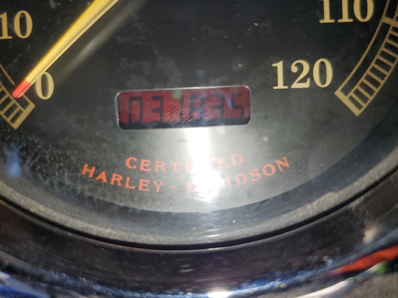 2003 Harley-Davidson Fxstdi VIN: 1HD1JBB123Y036229 Lot: 73180604