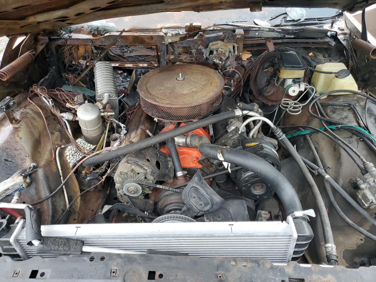 1983 Chevrolet Caprice Classic VIN: 2G1AN69H6D1112354 Lot: 73111544