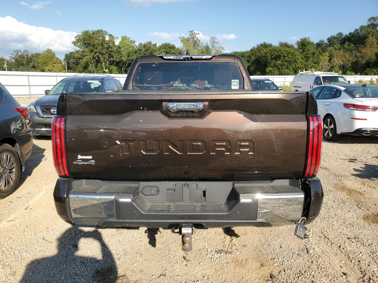 2023 Toyota Tundra Crewmax Platinum VIN: 5TFMC5DB7PX026145 Lot: 73316894