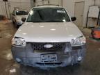 2005 Ford Escape Xlt 3.0L იყიდება Franklin-ში, WI - Front End