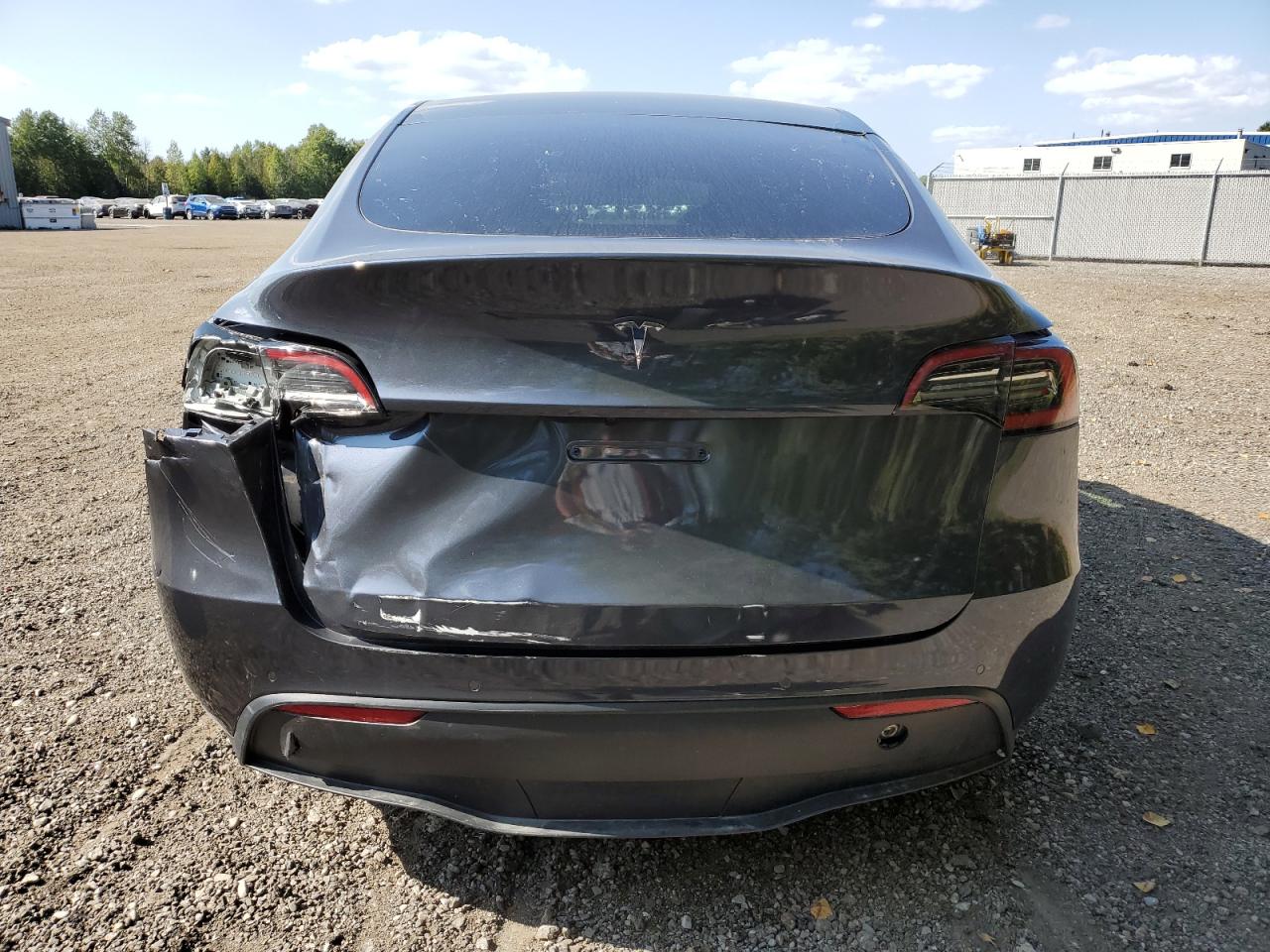 2022 Tesla Model Y VIN: 7SAYGDEE8NF562539 Lot: 71641724