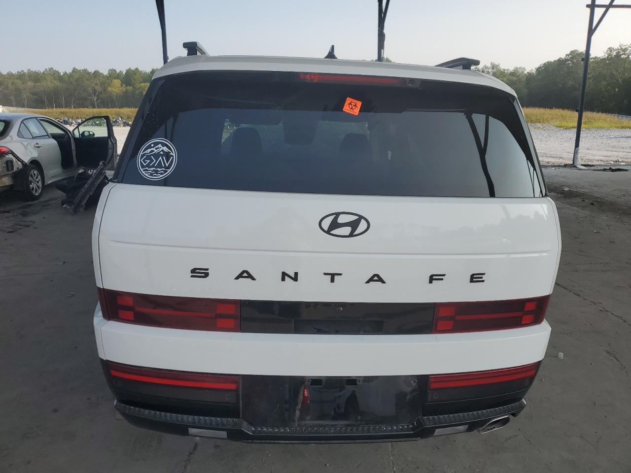 2024 Hyundai Santa Fe Calligraphy VIN: 5NMP54GL2RH040519 Lot: 70728274