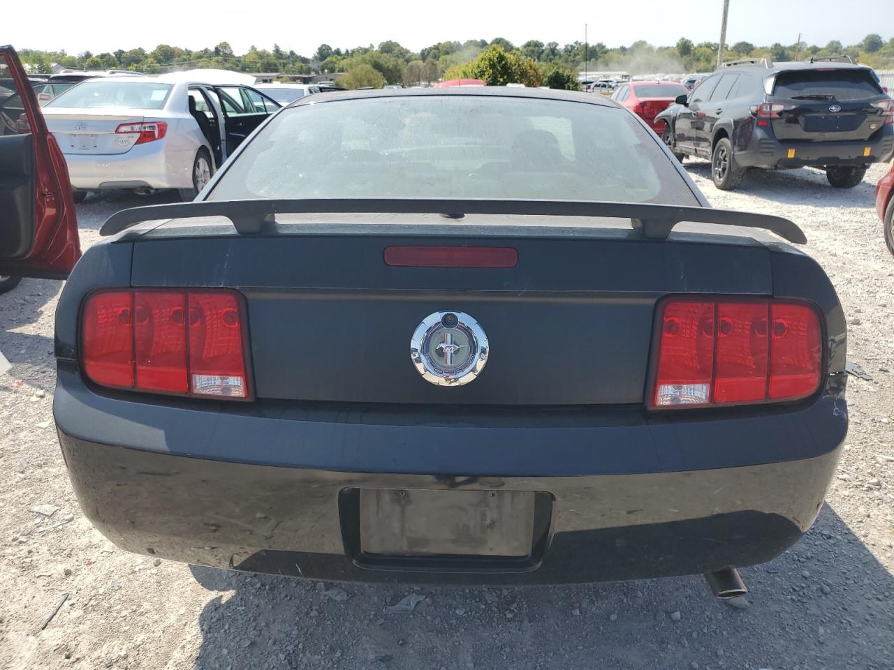 1ZVHT80N495124421 2009 Ford Mustang