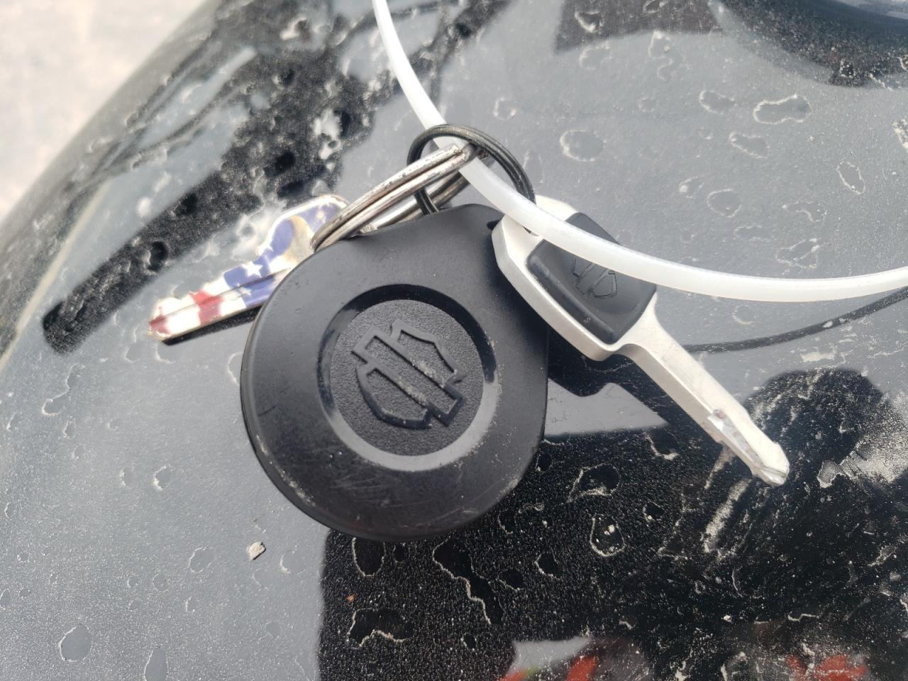 2023 Harley-Davidson Fxst VIN: 1HD1BVJ17PB022464 Lot: 72746614