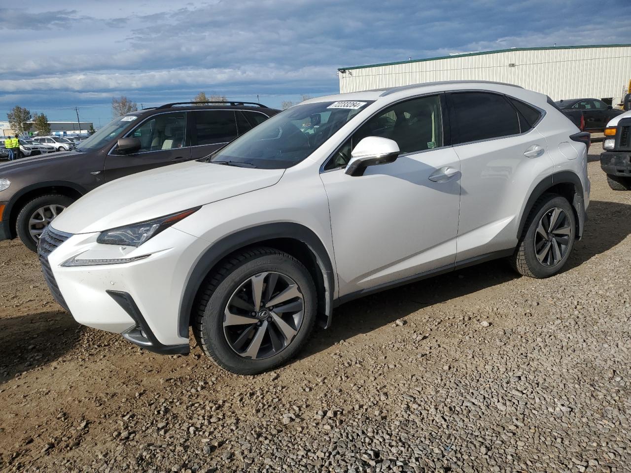 JTJBARBZ9K2201776 2019 LEXUS NX - Image 1