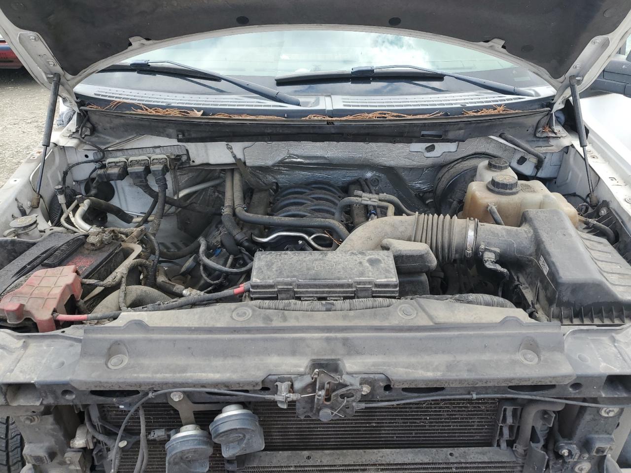 2013 Ford F150 Super Cab VIN: 1FTFX1CF7DFB99448 Lot: 71218874