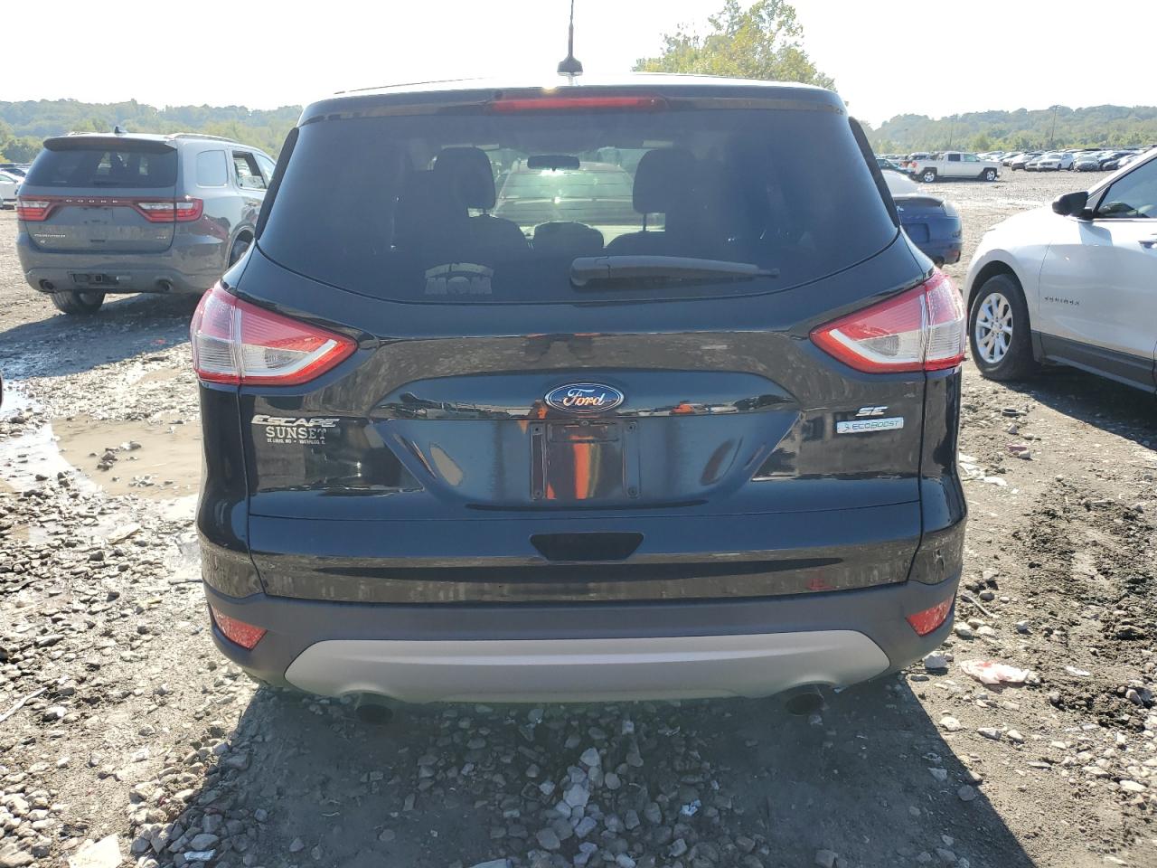 1FMCU0GX3EUD79205 2014 Ford Escape Se