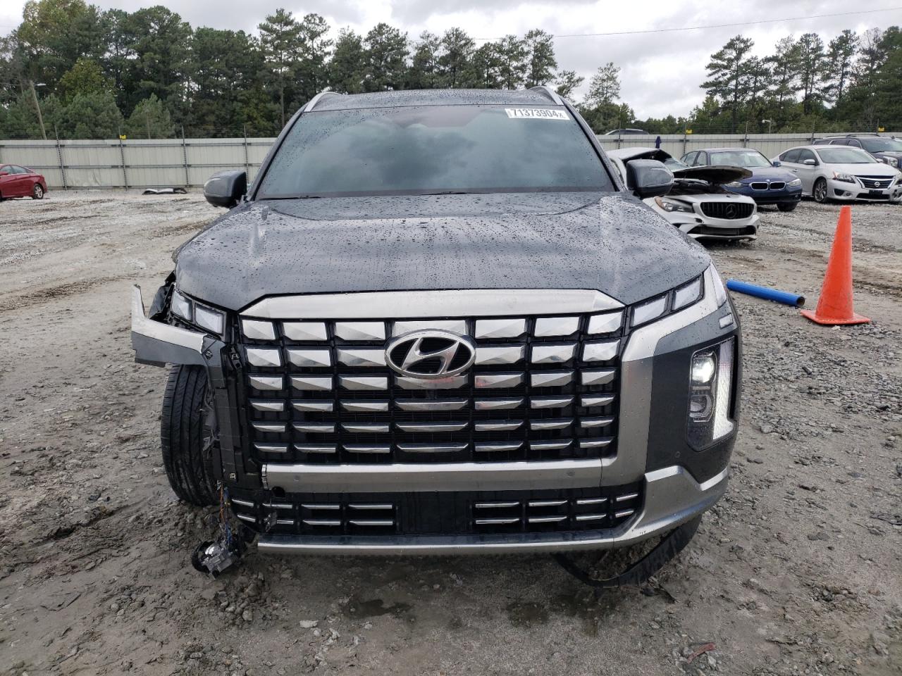 2024 Hyundai Palisade Calligraphy VIN: KM8R7DGE3RU712810 Lot: 71373904