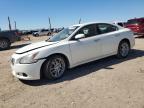 2013 Nissan Maxima S იყიდება Amarillo-ში, TX - Front End