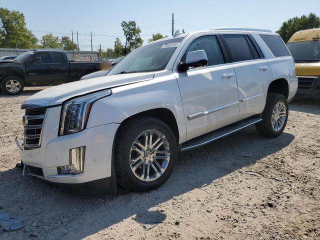 2019 Cadillac Escalade 