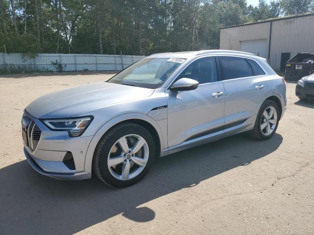 2019 Audi E-Tron Premium Plus na sprzedaż w Ham Lake, MN - Rear End