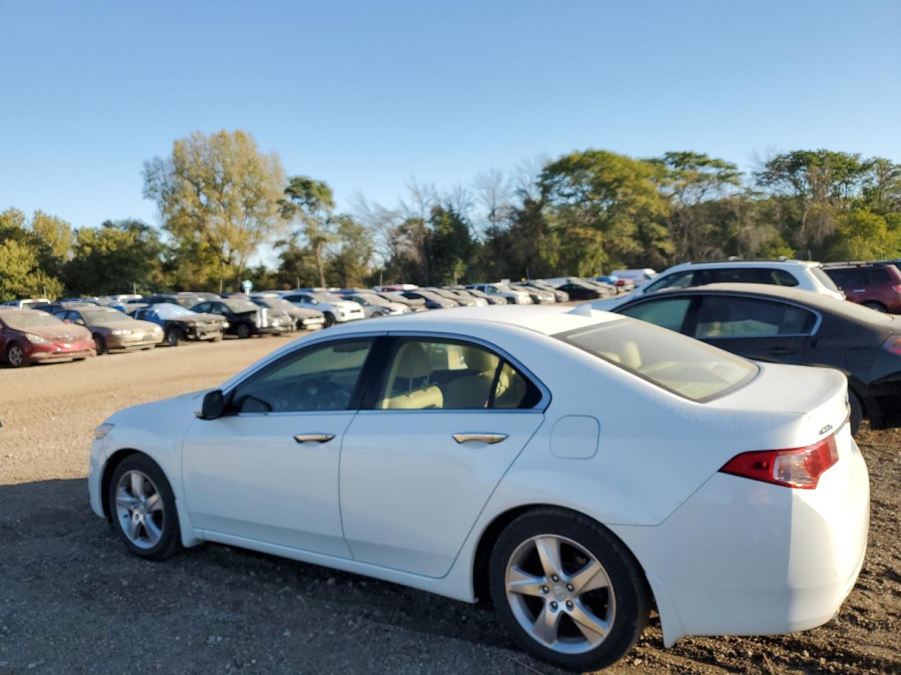 2012 Acura TSX - Image 2