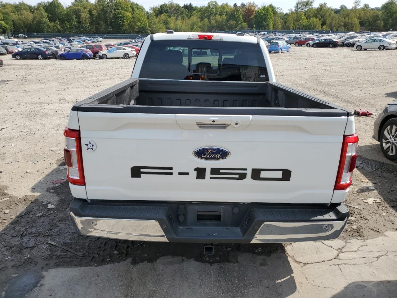 2022 Ford F150 Supercrew VIN: 1FTFW1ED8NFA40003 Lot: 71564074