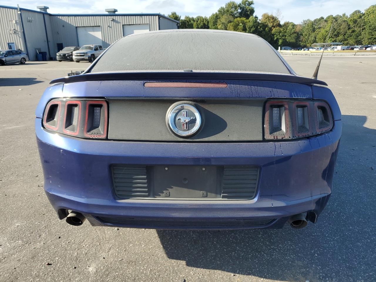 1ZVBP8AM8E5286952 2014 Ford Mustang