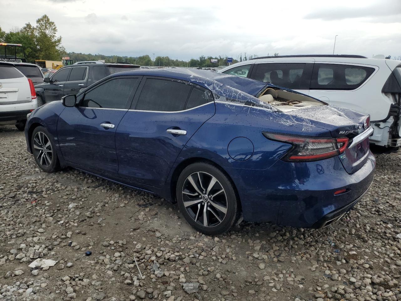 2021 Nissan Maxima Sv VIN: 1N4AA6CV6MC503912 Lot: 70982174