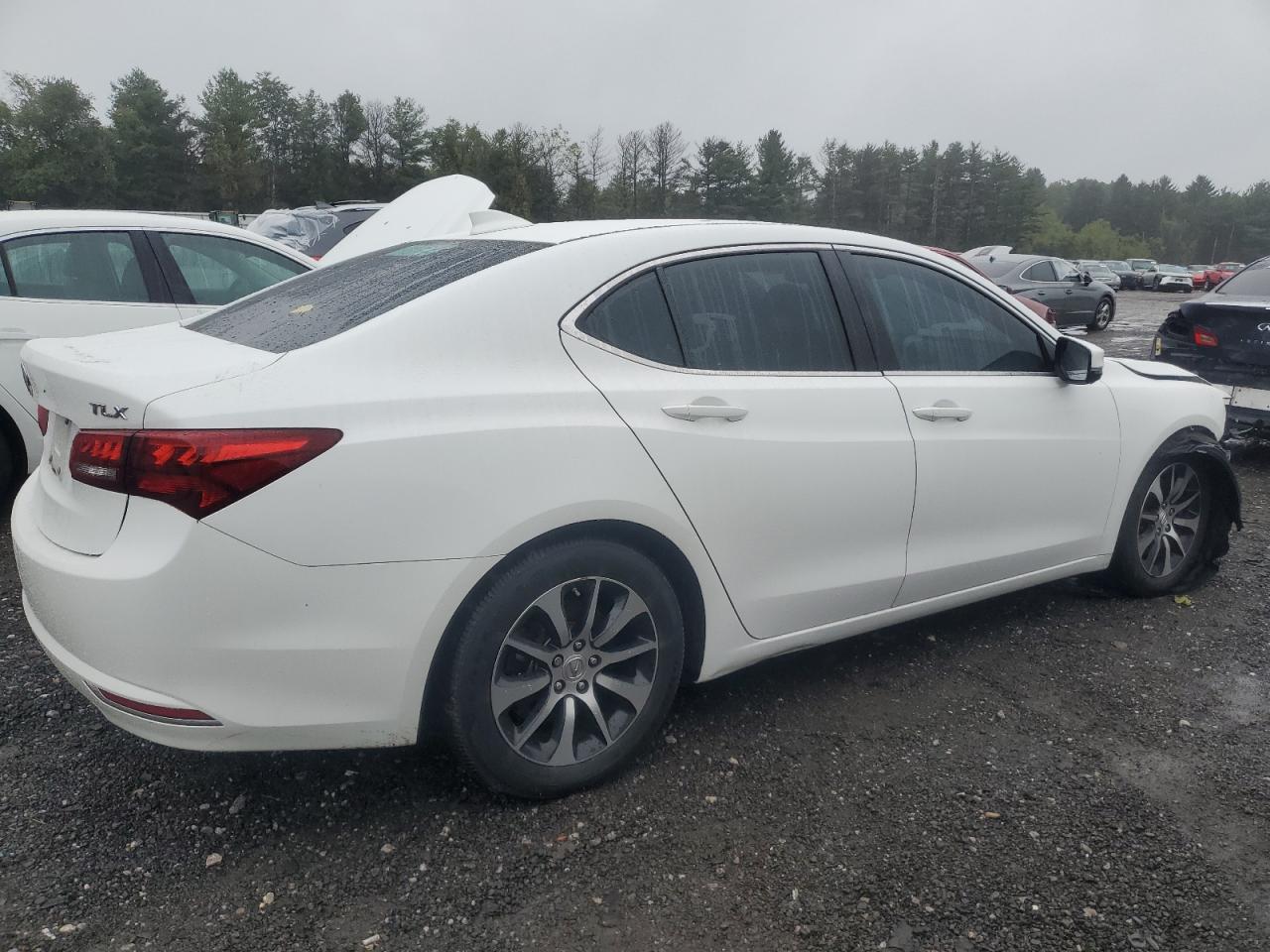 19UUB1F53GA007597 2016 Acura Tlx Tech