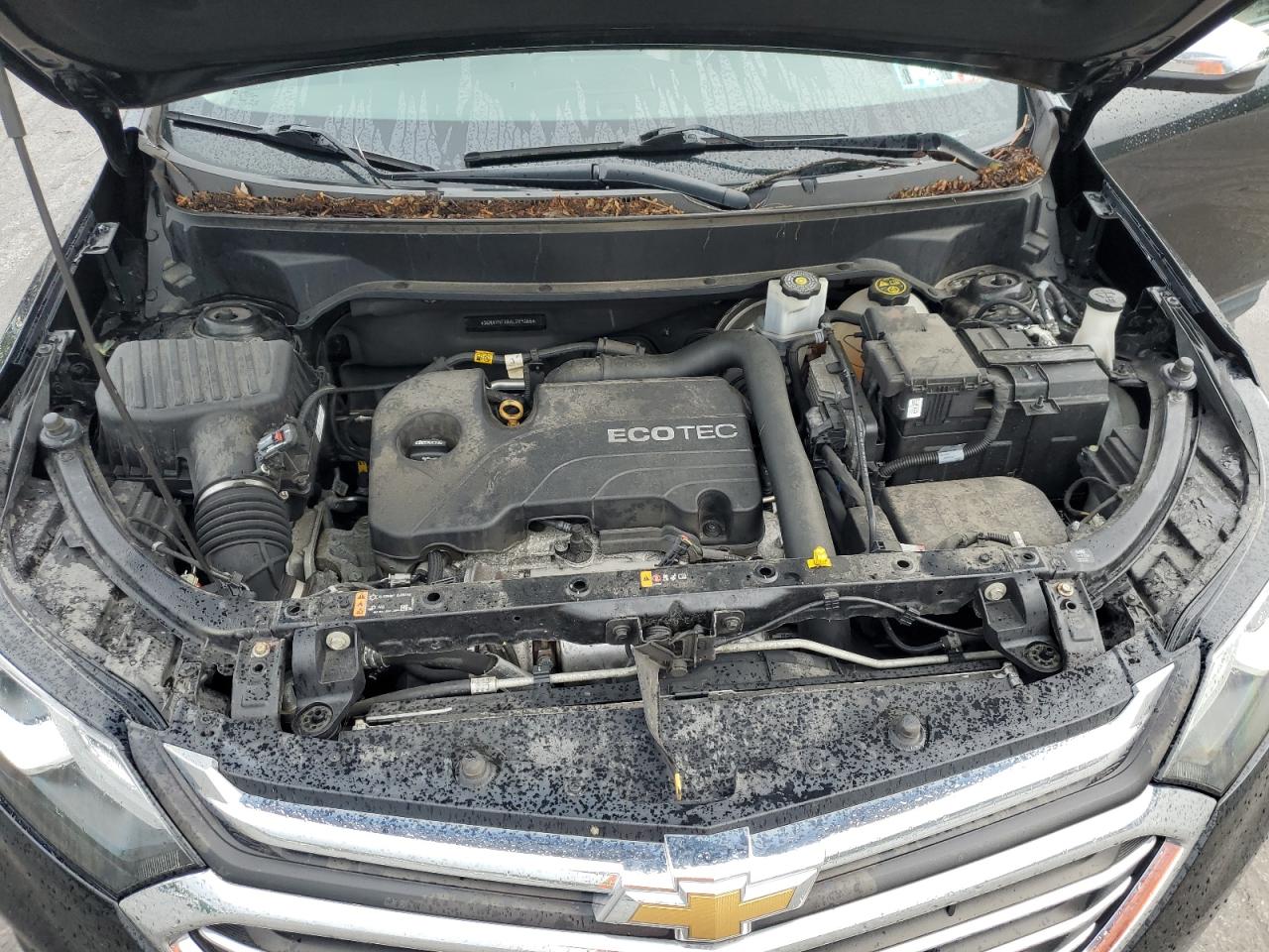 3GNAXNEV8KL259866 2019 Chevrolet Equinox Premier