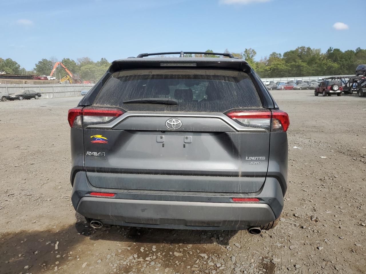 2019 Toyota Rav4 Limited VIN: 2T3N1RFV9KC045464 Lot: 71095894