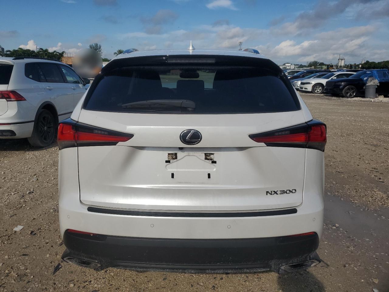 2021 Lexus Nx 300 Base VIN: JTJDARBZ8M5030982 Lot: 71633304