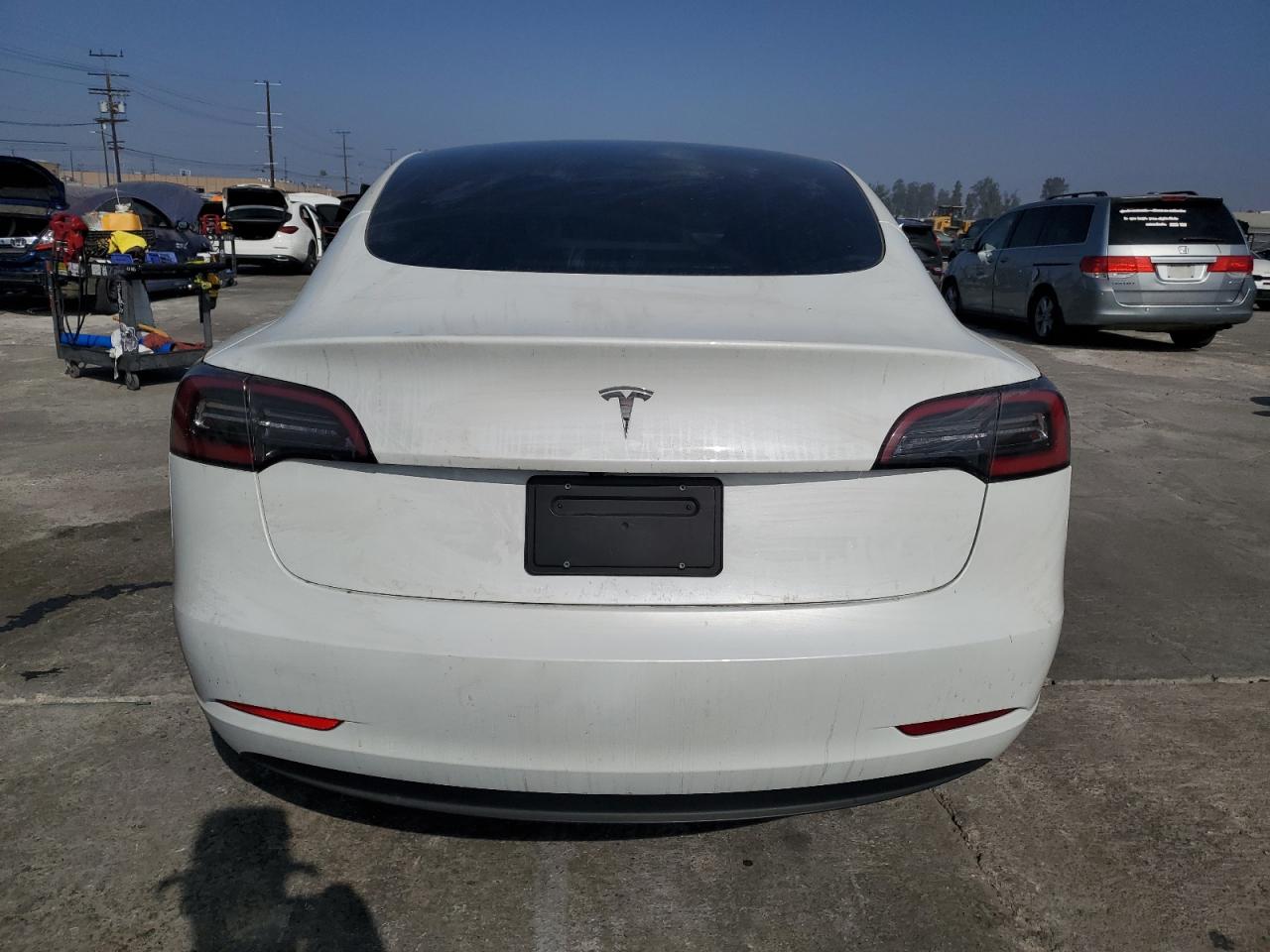 2023 Tesla Model 3 VIN: 5YJ3E1EA4PF517528 Lot: 72353134