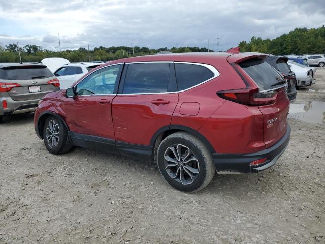  HONDA CRV 2022 Czerwony