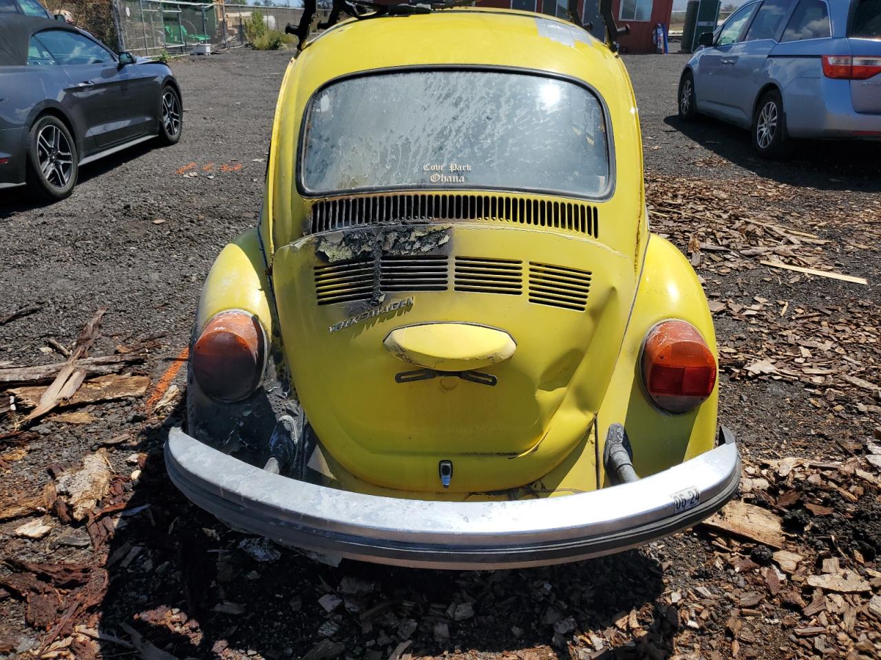 1342675695 1974 Volkswagen Super Beet