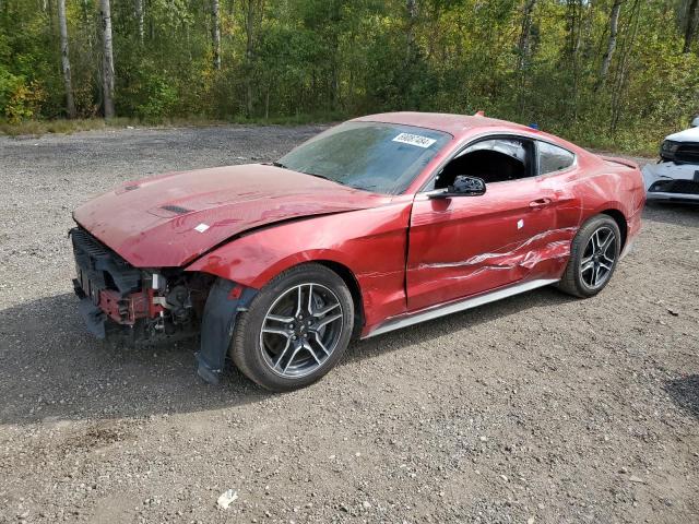 2023 Ford Mustang Gt