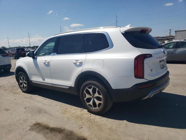 5XYP34HC6LG025589 Kia Telluride  2