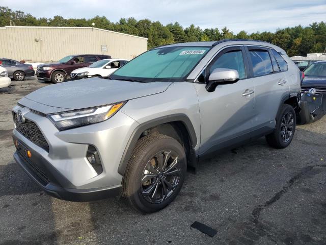 2024 Toyota Rav4 Xle Premium