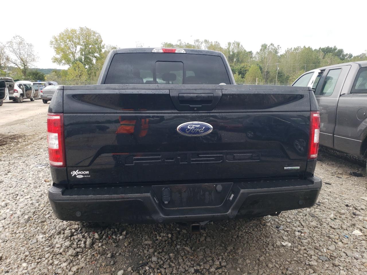 2019 Ford F150 Supercrew VIN: 1FTEW1EPXKFB79549 Lot: 72413944