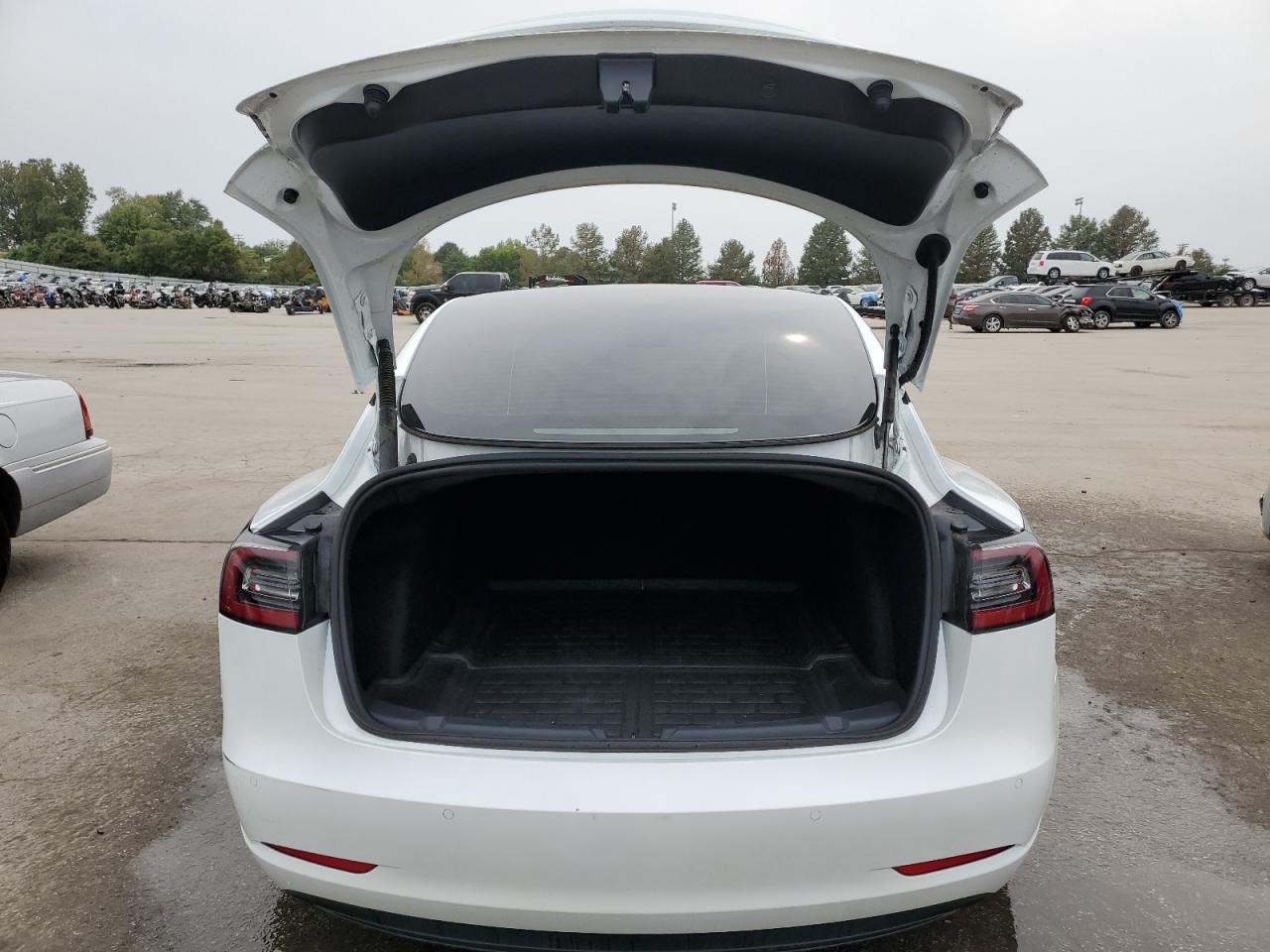 2022 Tesla Model 3 VIN: 5YJ3E1EA9NF342447 Lot: 69898354