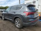 5NMS2DAJ8PH****** Used and Repairable 2023 Hyundai Santa Fe in CT - New Britain