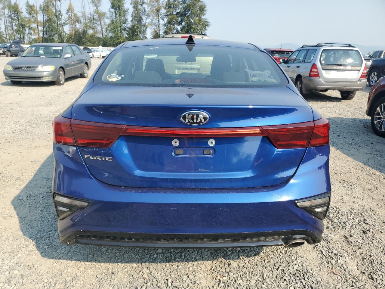 2019 Kia Forte Fe VIN: 3KPF24AD8KE069011 Lot: 70651124