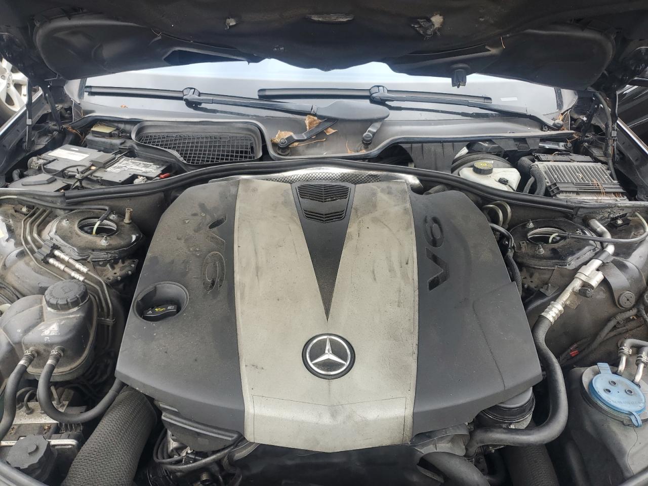 WDDNG8DB7DA534582 2013 Mercedes-Benz S 350 Bluetec