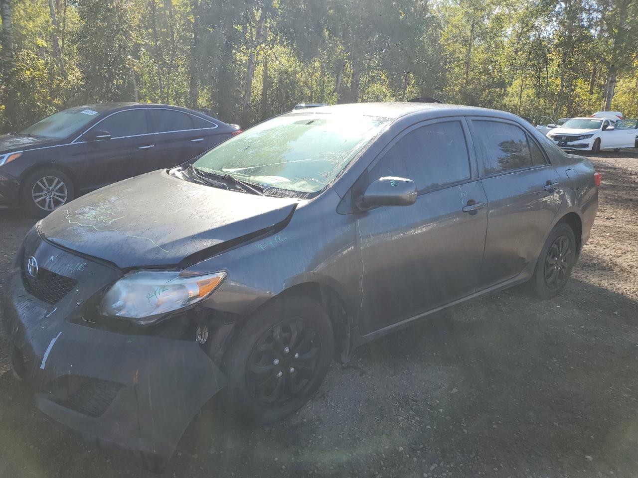 2010 Toyota Corolla Base VIN: 2T1BU4EE9AC337850 Lot: 70677004